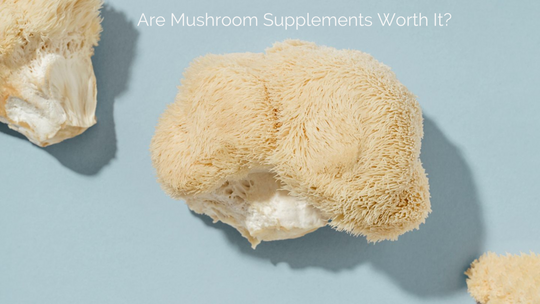 Are Mushroom Supplements Worth It?