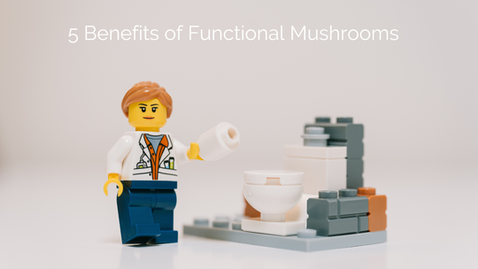 5 Reasons to Try Functional Mushrooms