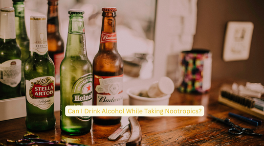 Can I Drink Alcohol While Taking Nootropics?
