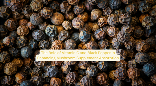 How Vitamin C and Black Pepper Extract Enhance the Absorption of Mushroom Supplements