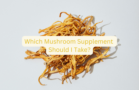 Which Mushroom Supplement Should I Take?