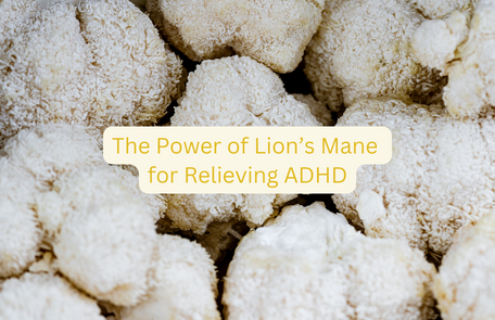 The Power of Lion's Mane for ADHD.